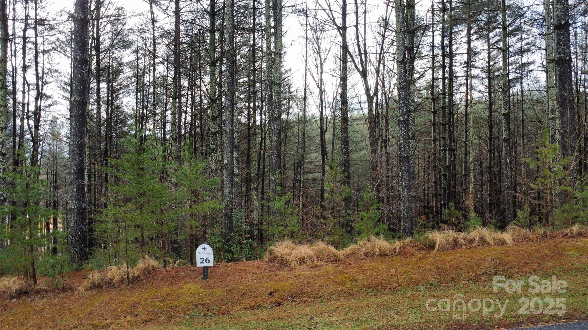 Lot at 26 Peninsula Reserve Road, Nebo, photo 13 of 20