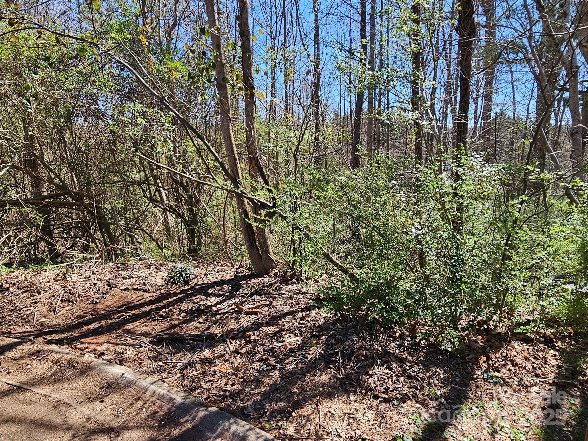 Lot at 0 Gray Court, Rutherfordton, photo 2 of 9