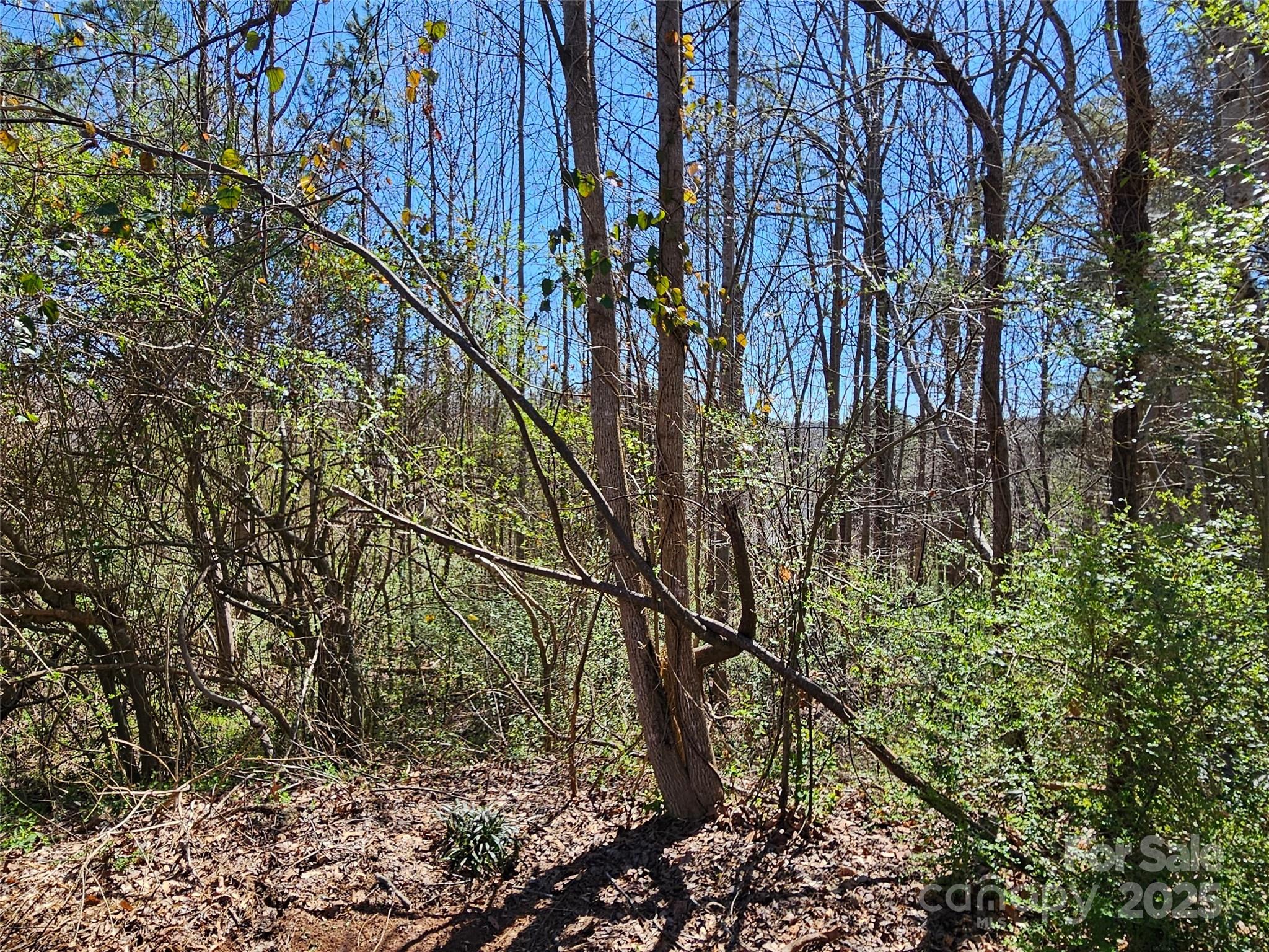 Lot at 0 Gray Court, Rutherfordton, photo 3 of 9