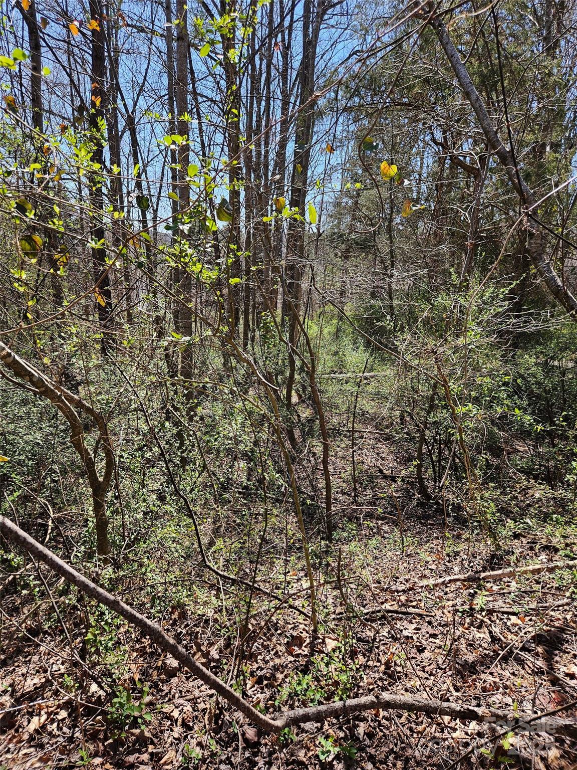 Lot at 0 Gray Court, Rutherfordton, photo 5 of 9