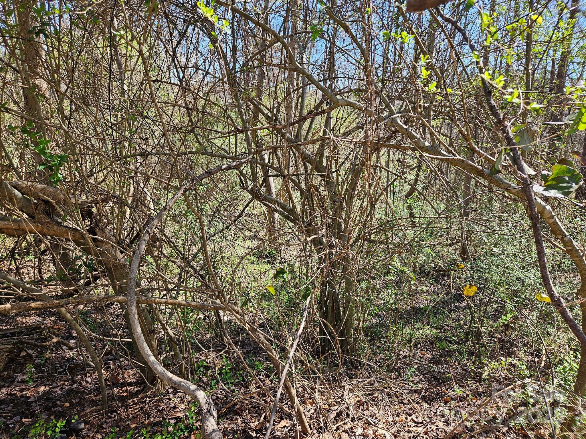Lot at 0 Gray Court, Rutherfordton, photo 6 of 9