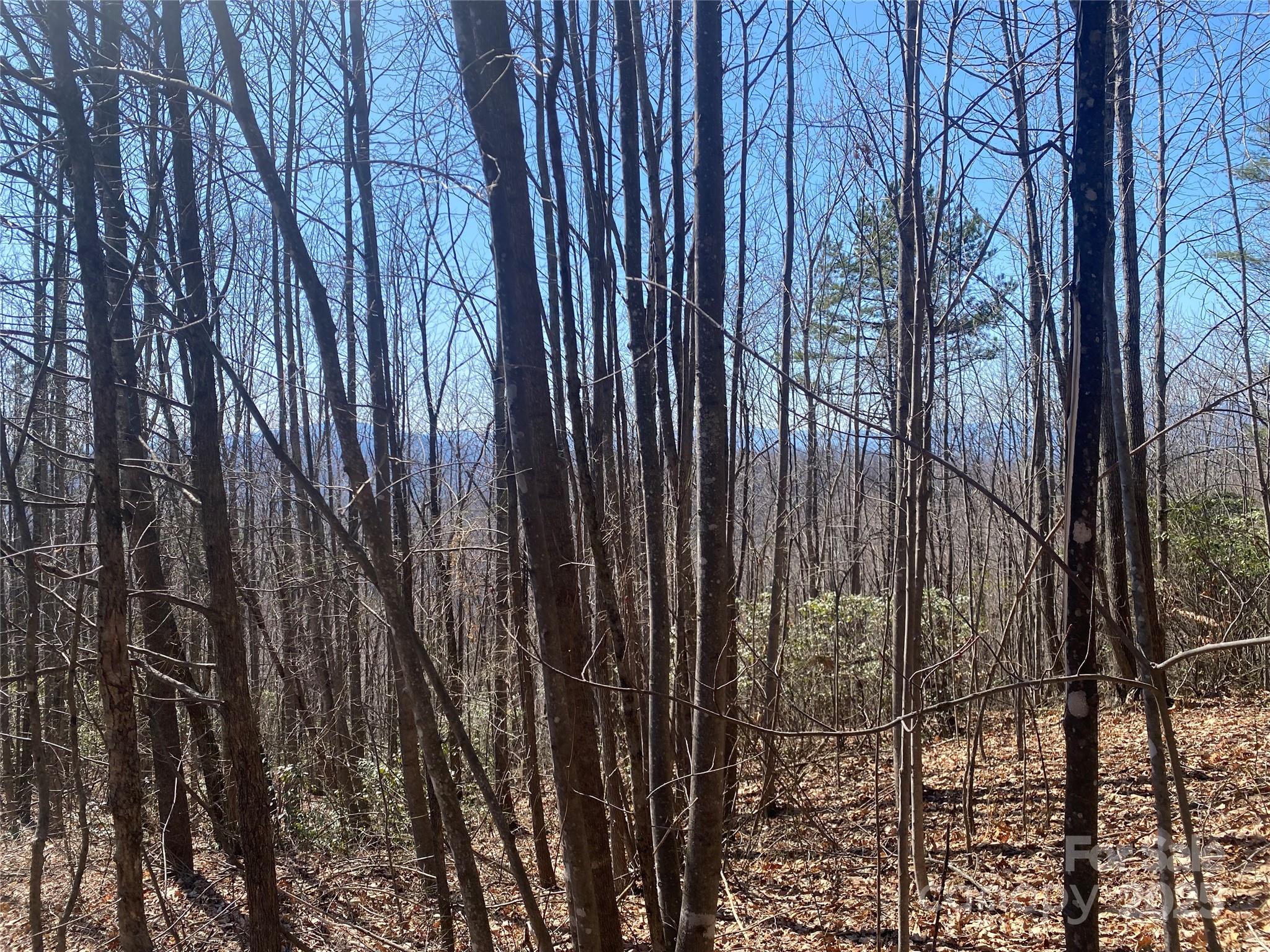 Lot at Lot 72 Mountain Crest Drive S, Marion, photo 2 of 10