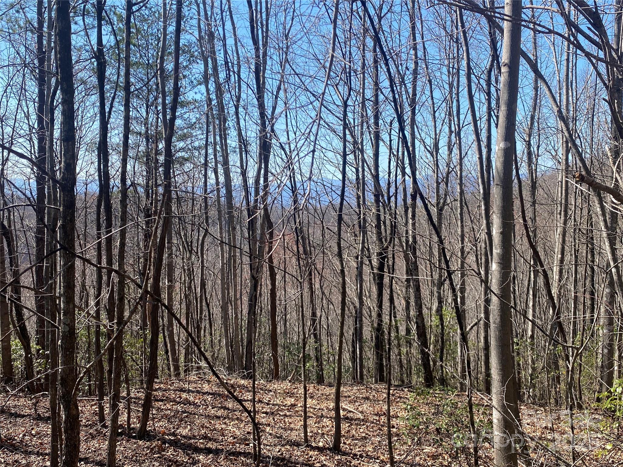 Lot at Lot 72 Mountain Crest Drive S, Marion, photo 3 of 10