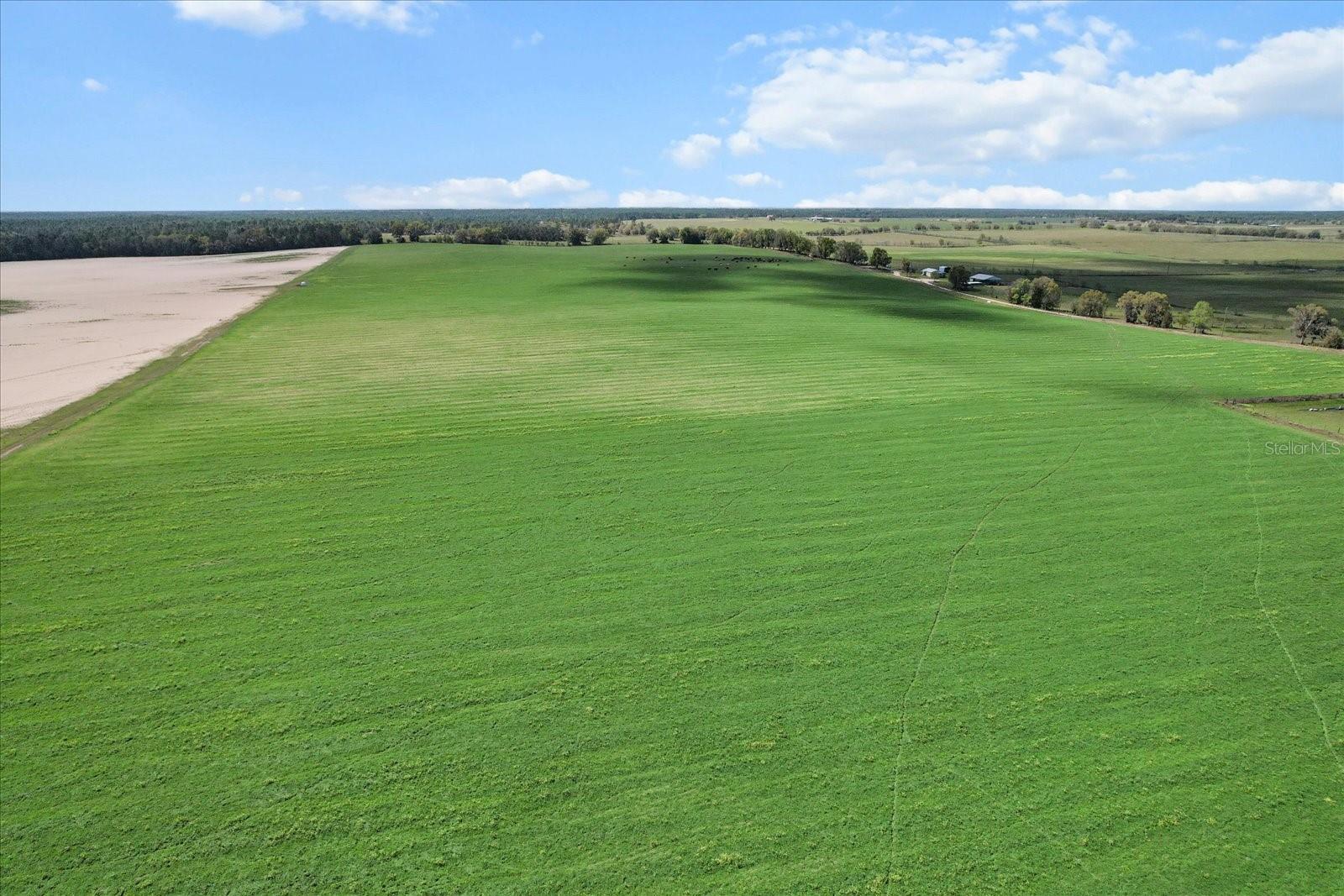 Land at (190 AC-see addt'l PID's) NW 225TH AVE, DUNNELLON, photo 5 of 20