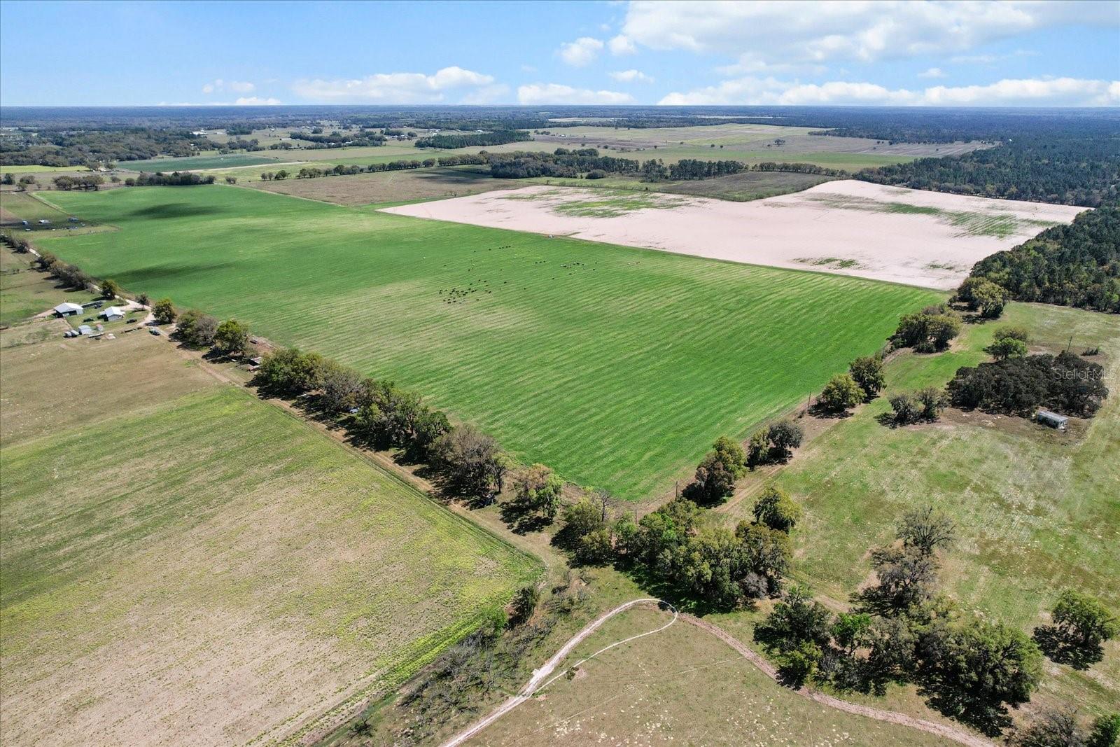 Land at (190 AC-see addt'l PID's) NW 225TH AVE, DUNNELLON