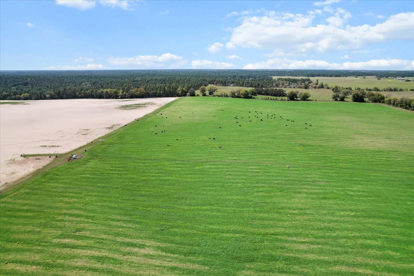 Land at (190 AC-see addt'l PID's) NW 225TH AVE, DUNNELLON, photo 10 of 20