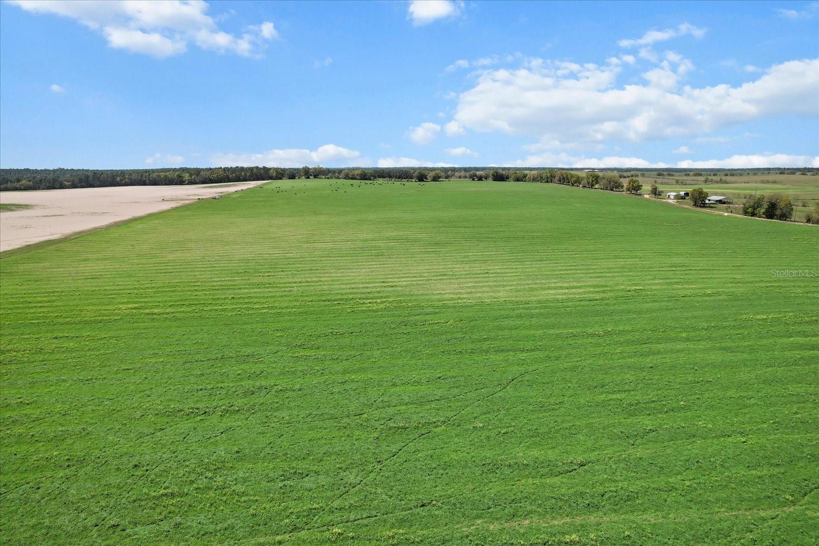 Land at (190 AC-see addt'l PID's) NW 225TH AVE, DUNNELLON, photo 13 of 20