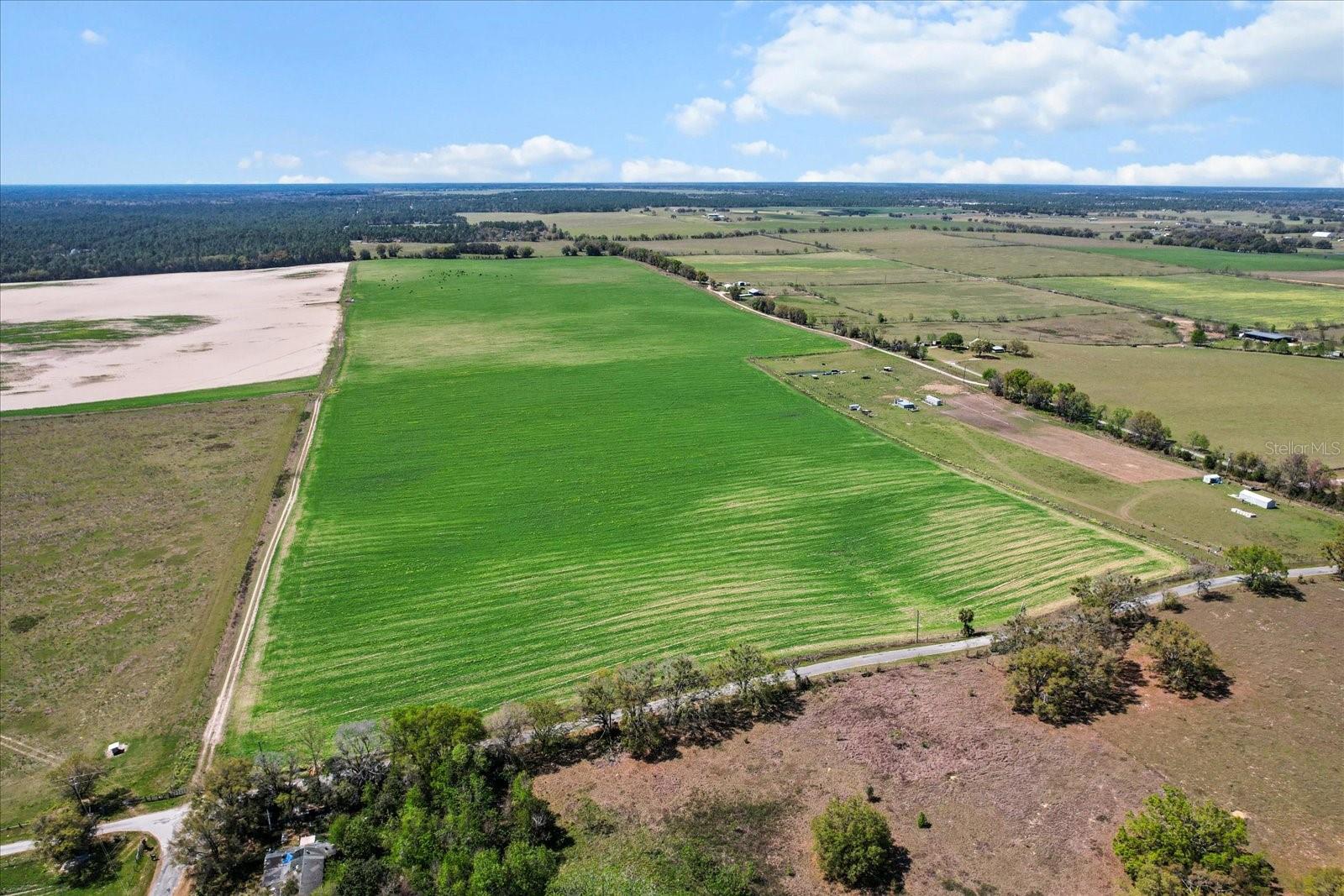 Land at (190 AC-see addt'l PID's) NW 225TH AVE, DUNNELLON, photo 14 of 20