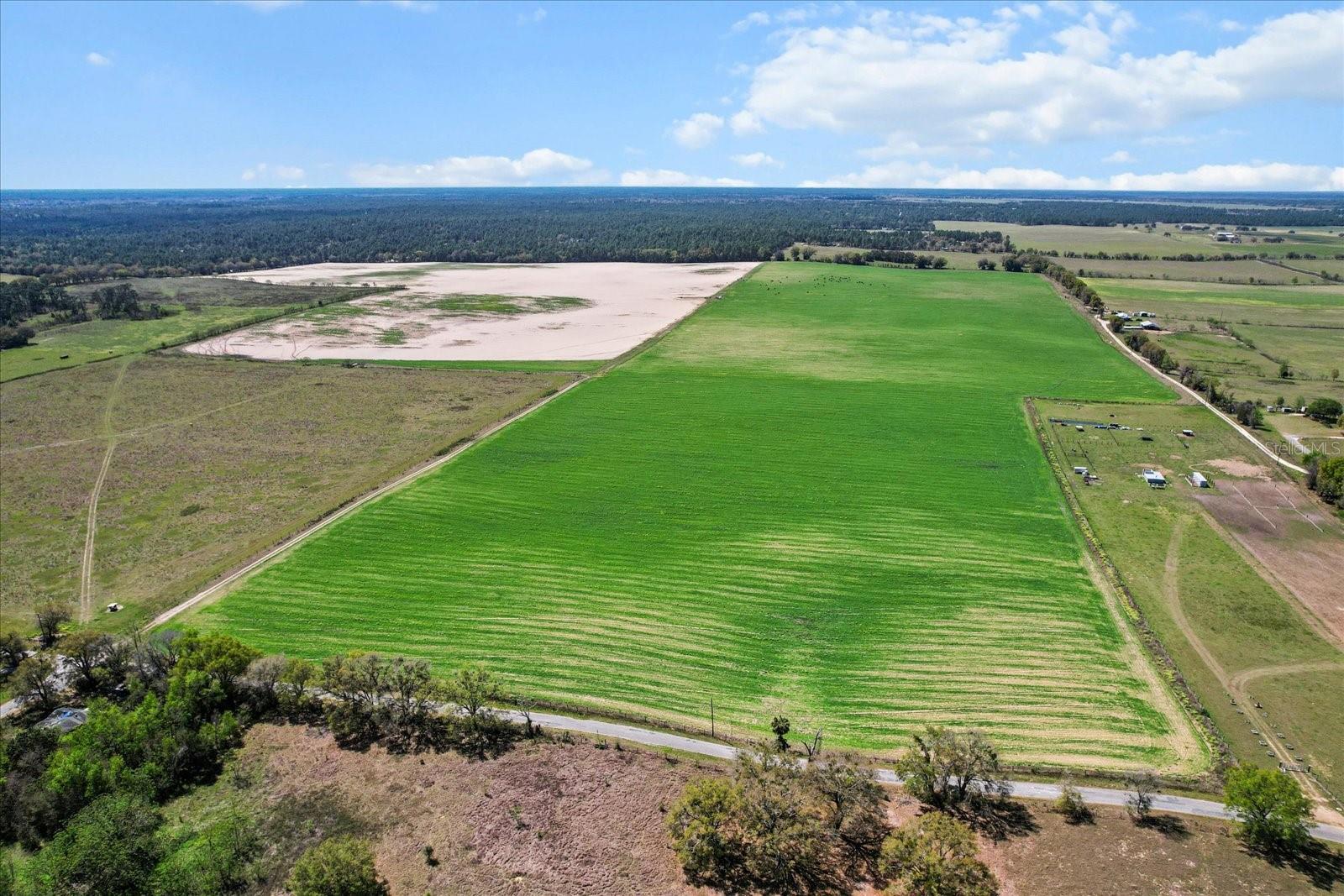 Land at (190 AC-see addt'l PID's) NW 225TH AVE, DUNNELLON, photo 15 of 20