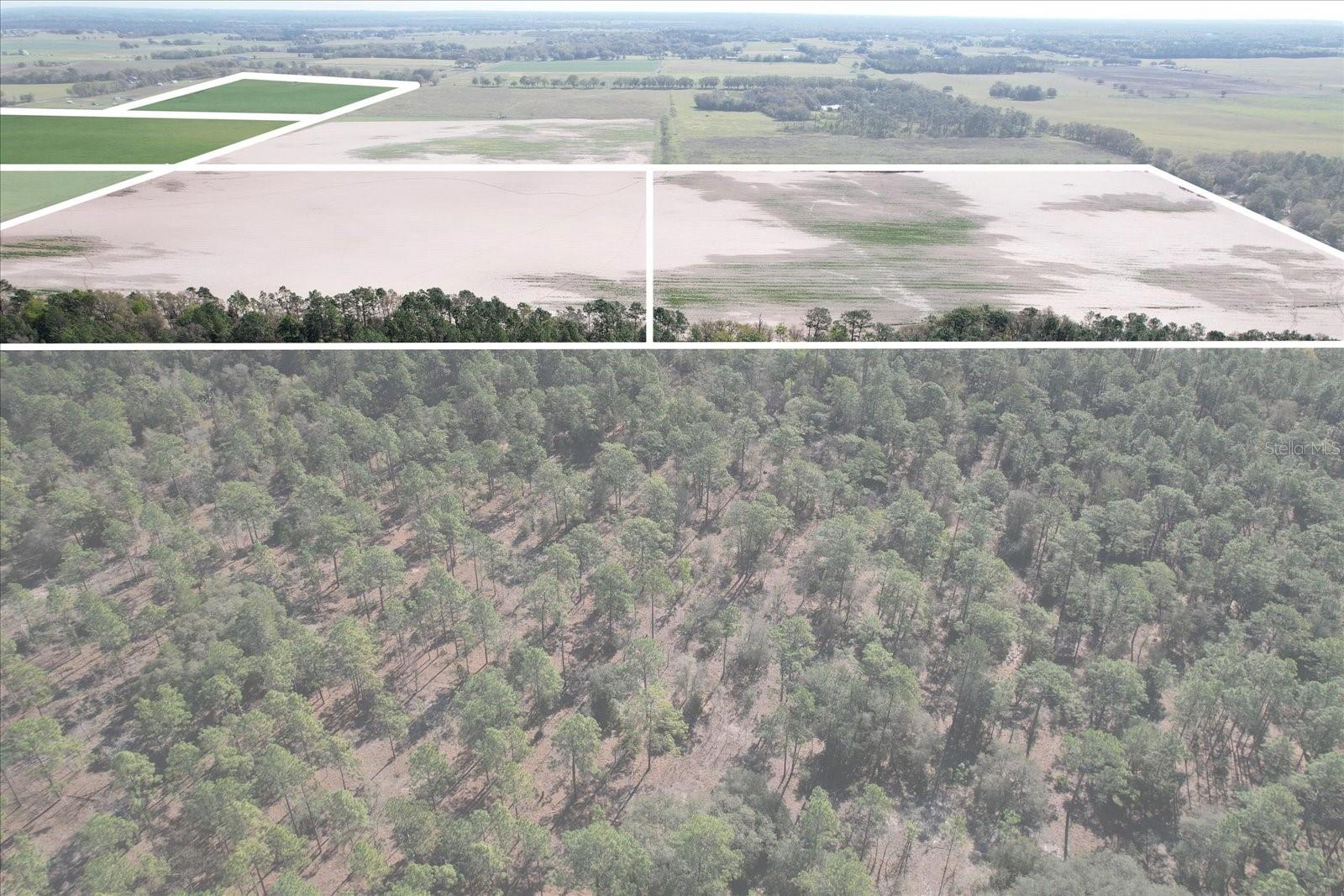 Land at (190 AC-see addt'l PID's) NW 225TH AVE, DUNNELLON, photo 19 of 20
