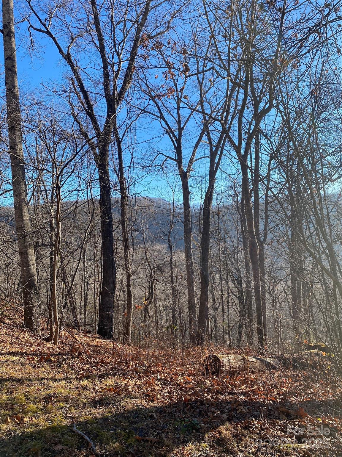 Lot at 000 Wash Freeman Road, Hendersonville