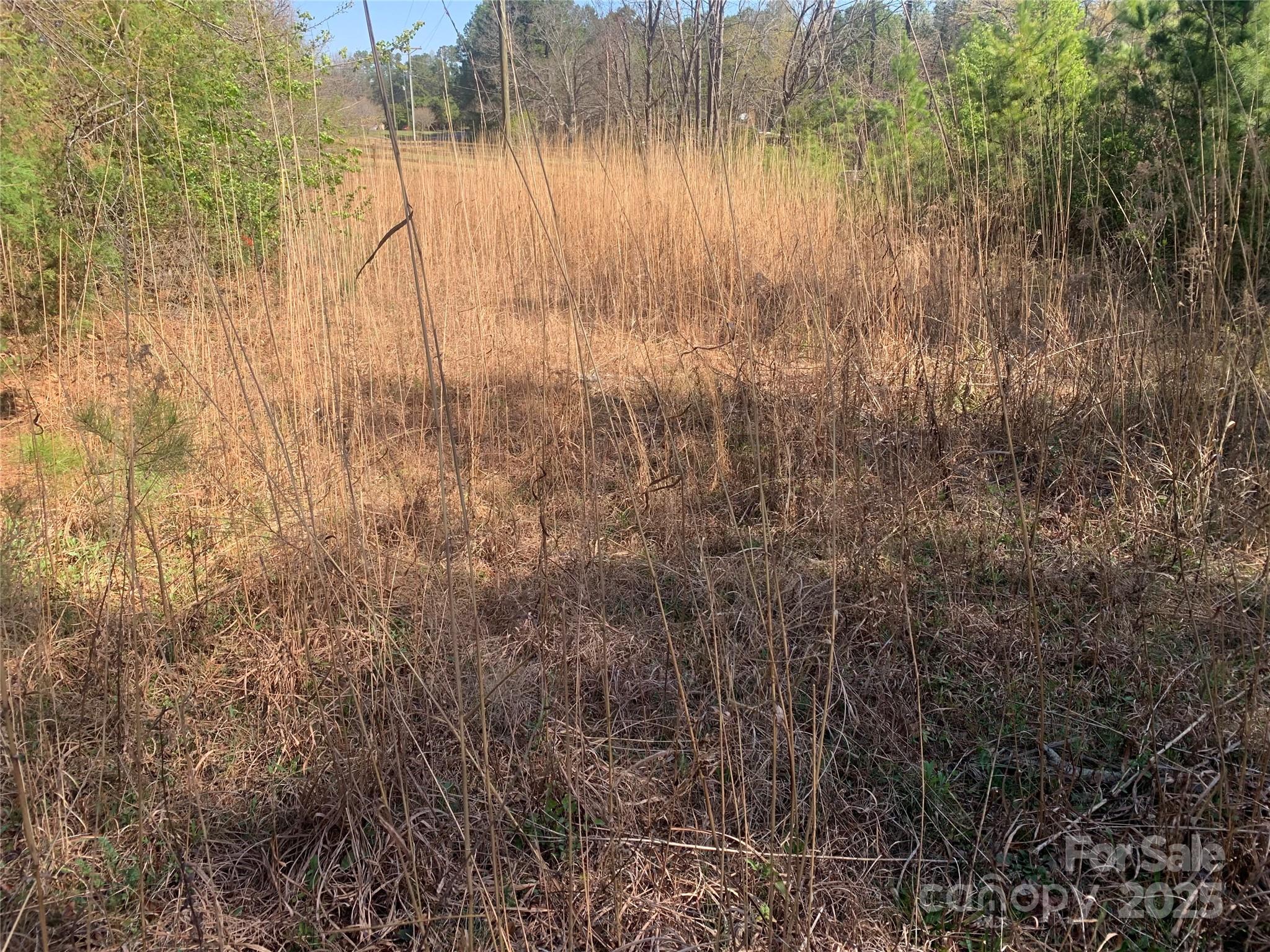 Acreage at 0001 Mayberry Road, Dallas, photo 5 of 6