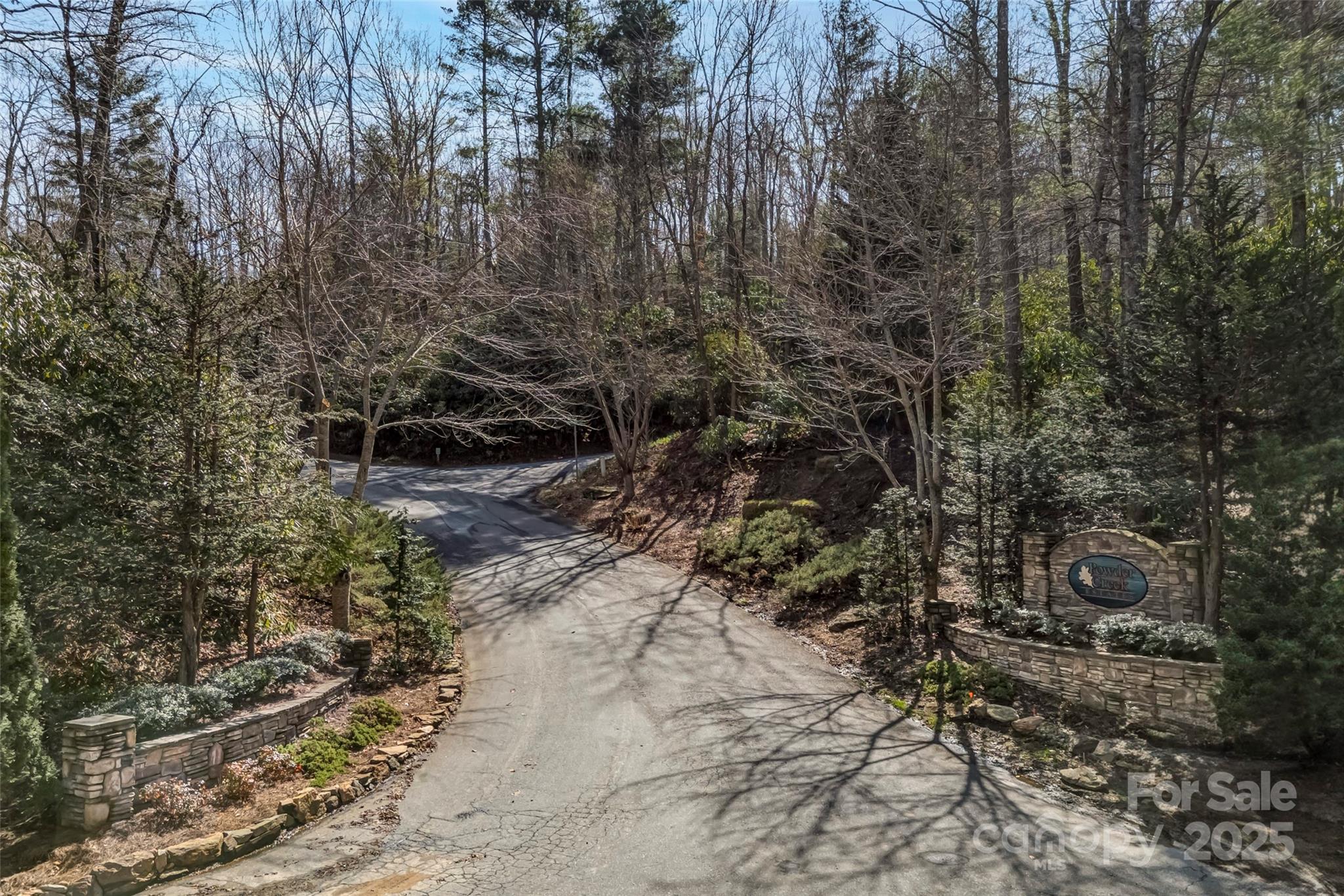 Lot at 99999 Christa Lane, Arden, photo 3 of 10