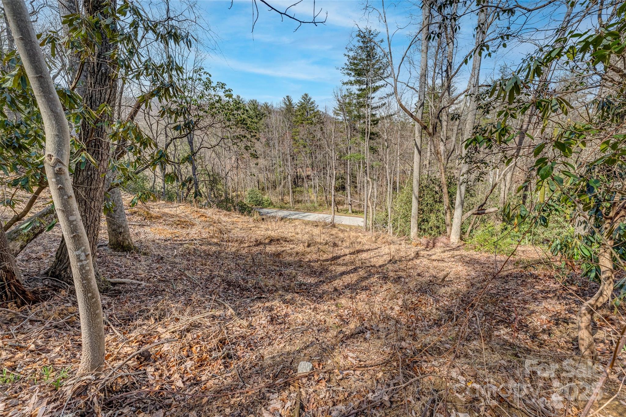 Lot at 99999 Christa Lane, Arden, photo 4 of 10