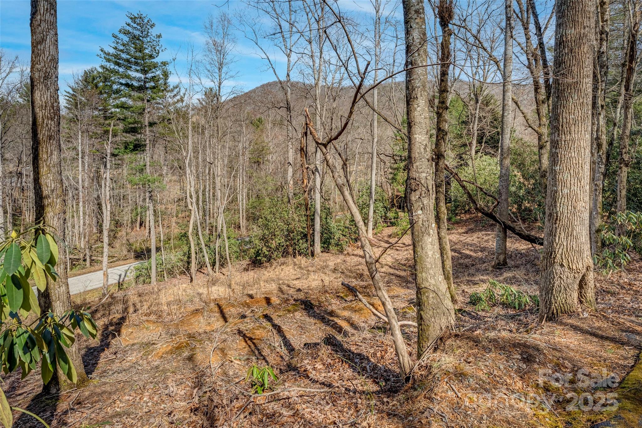 Lot at 99999 Christa Lane, Arden, photo 5 of 10