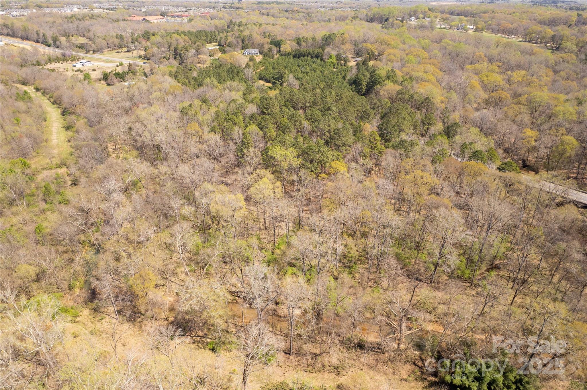 Acreage at 000 Hwy 21 Highway N, Fort Mill, photo 9 of 12