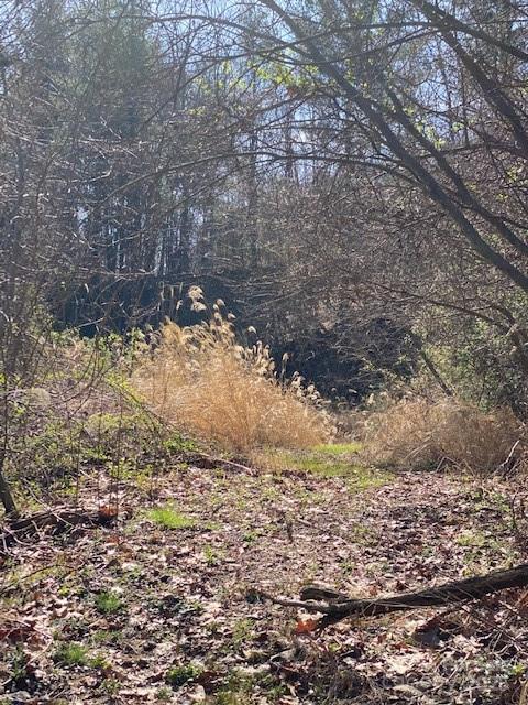 Flat building lot - 105 Mills Gap Road, Asheville