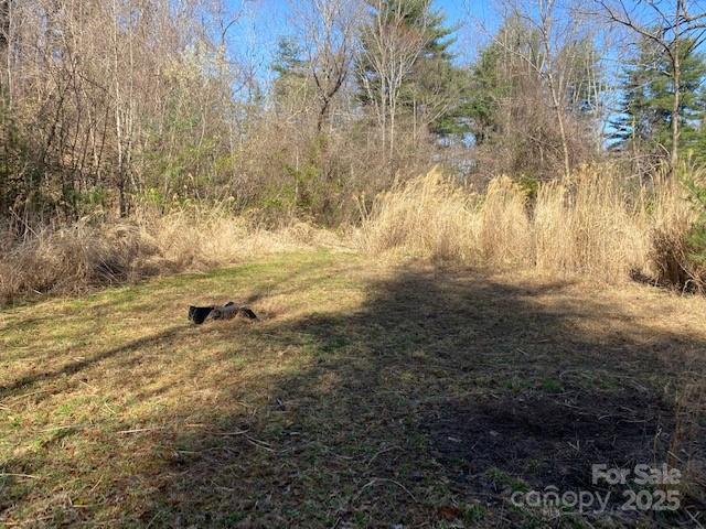 Flat building lot - 105 Mills Gap Road, Asheville