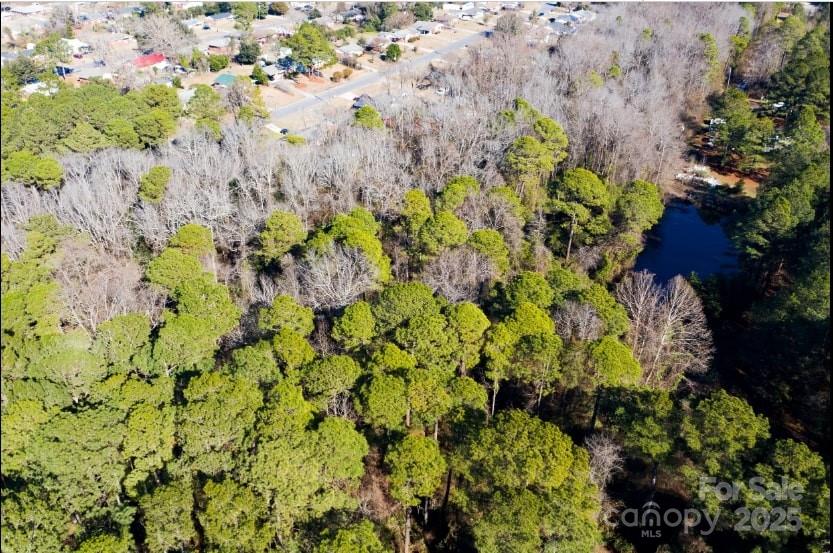 Lot at 0 Sterling Street, Fayetteville, photo 9 of 21