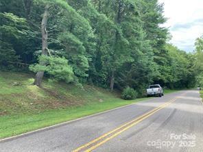 Lot at 99999 Moffitt Branch Road, Asheville, photo 2 of 10