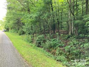 Lot at 99999 Moffitt Branch Road, Asheville, photo 3 of 10