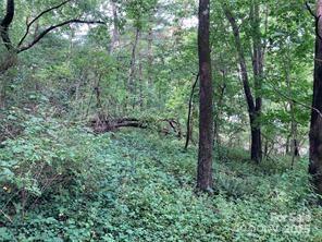 Lot at 99999 Moffitt Branch Road, Asheville, photo 4 of 10