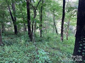 Lot at 99999 Moffitt Branch Road, Asheville, photo 5 of 10