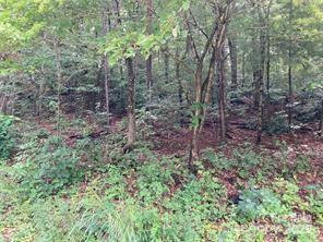 Lot at 99999 Moffitt Branch Road, Asheville, photo 6 of 10