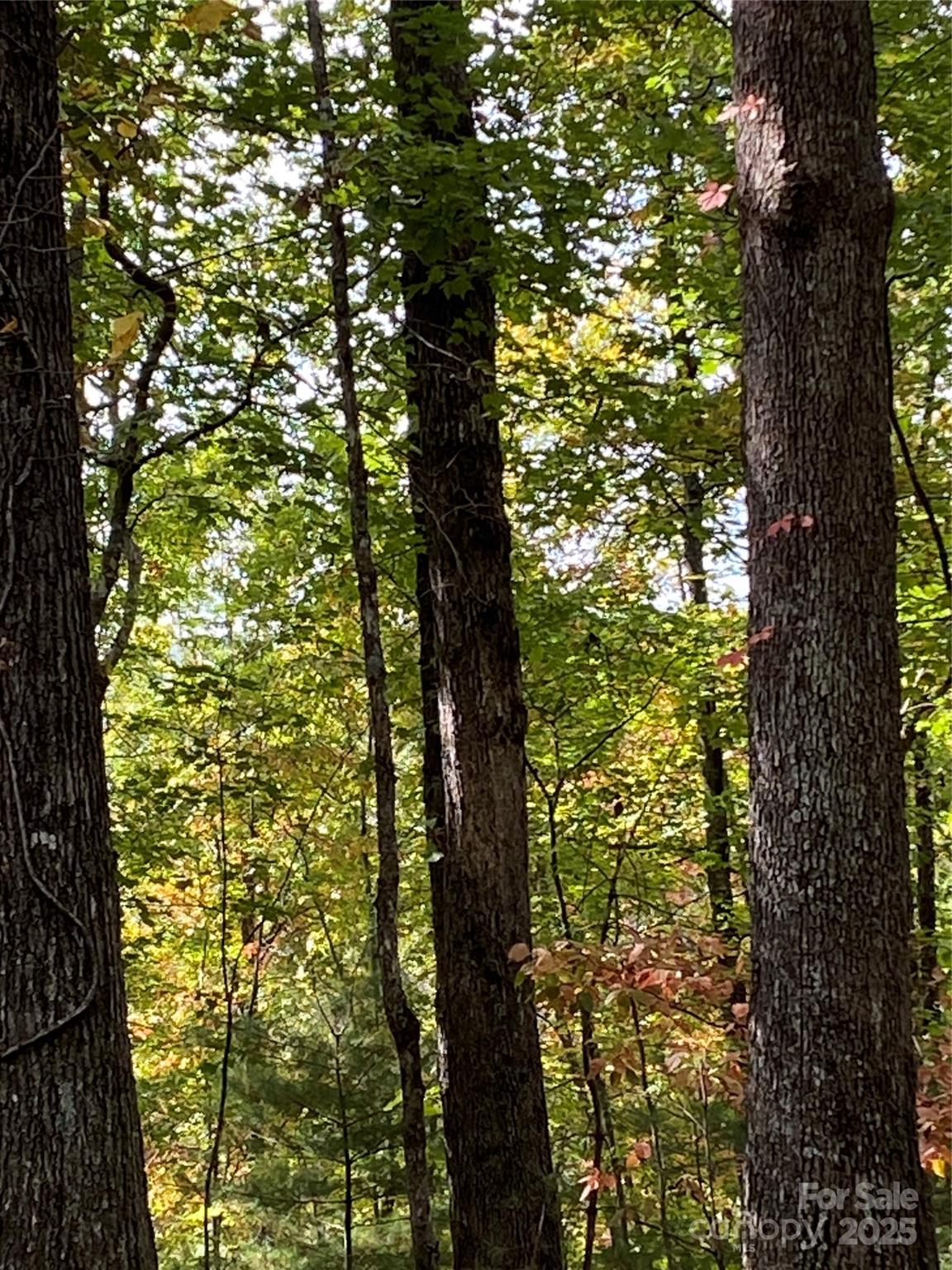 Secluded with nice trees - Lot 28 Mentink Way, Nebo