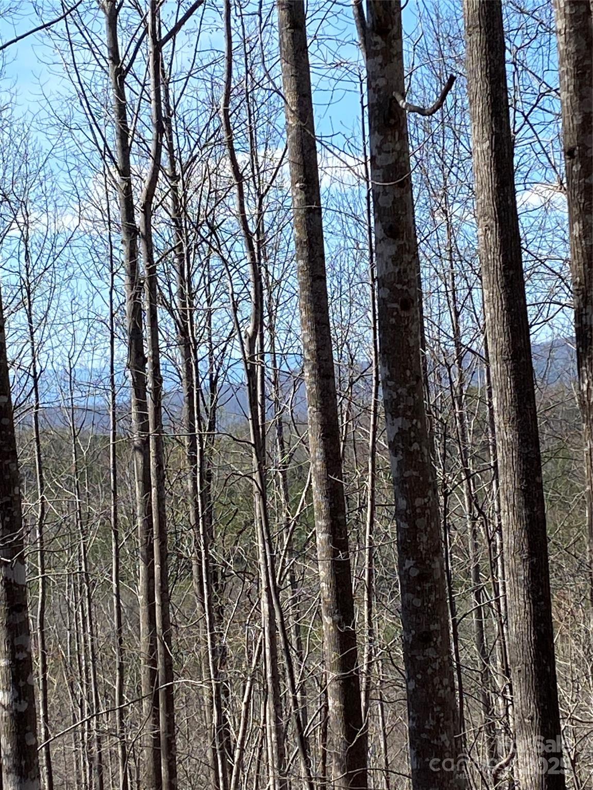 Lot at Lot 28 Mentink Way, Nebo, photo 5 of 20
