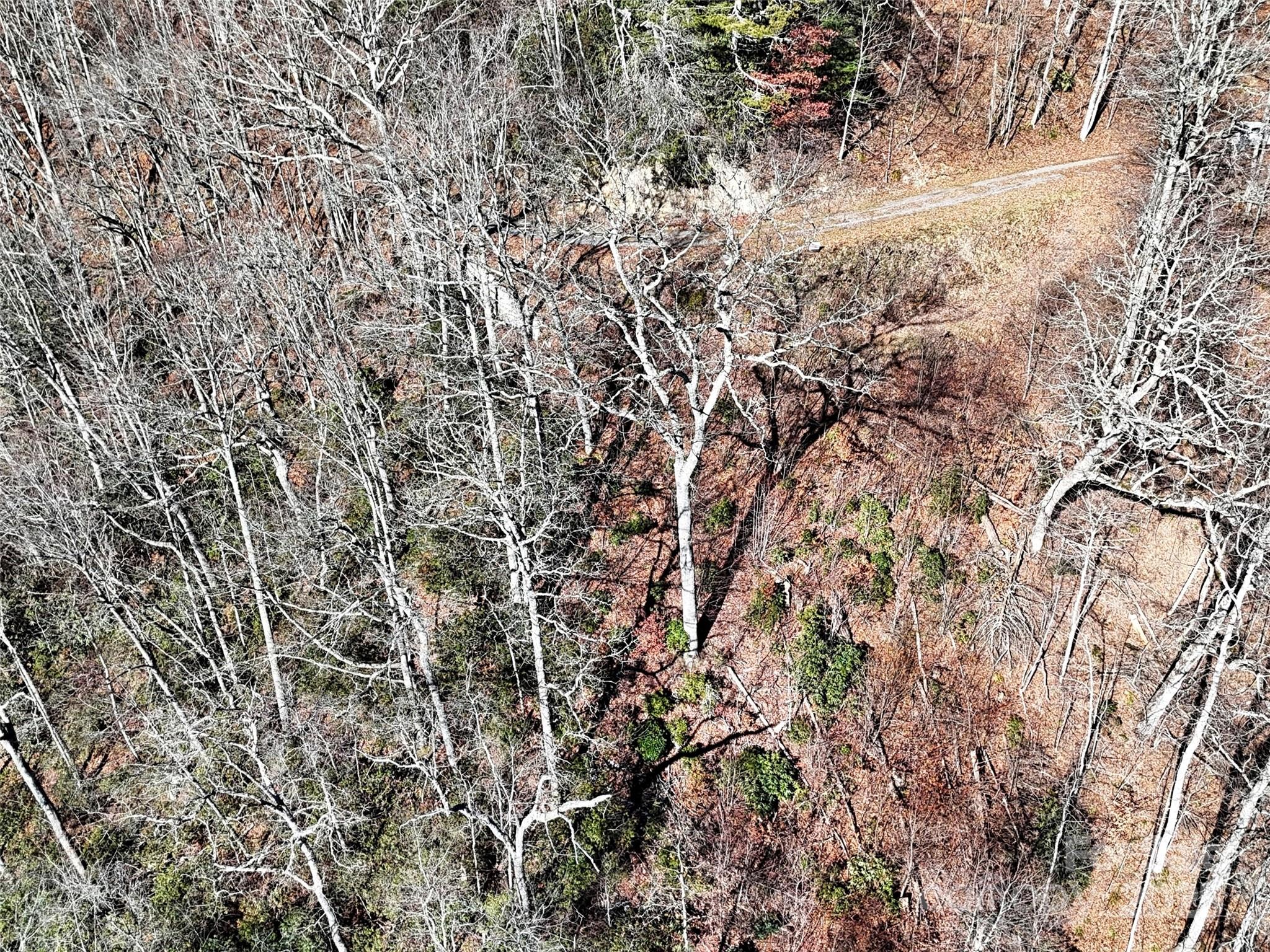 Lot at 00 Barn Cove Road, Clyde, photo 6 of 16