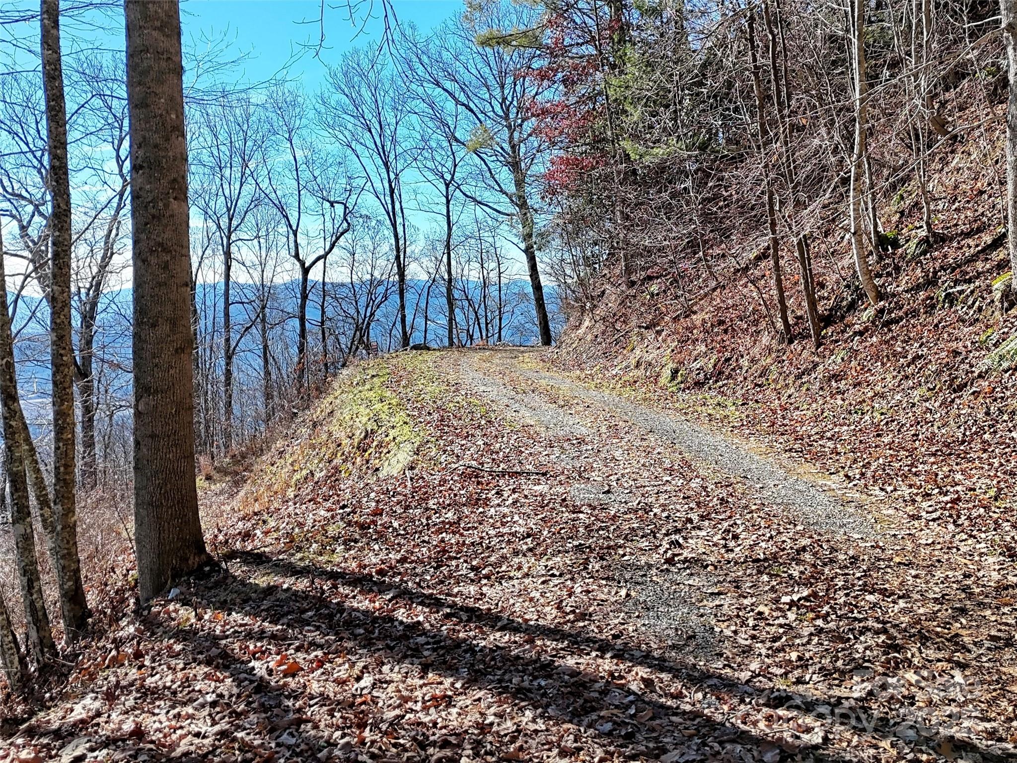 Lot at 00 Barn Cove Road, Clyde, photo 7 of 16