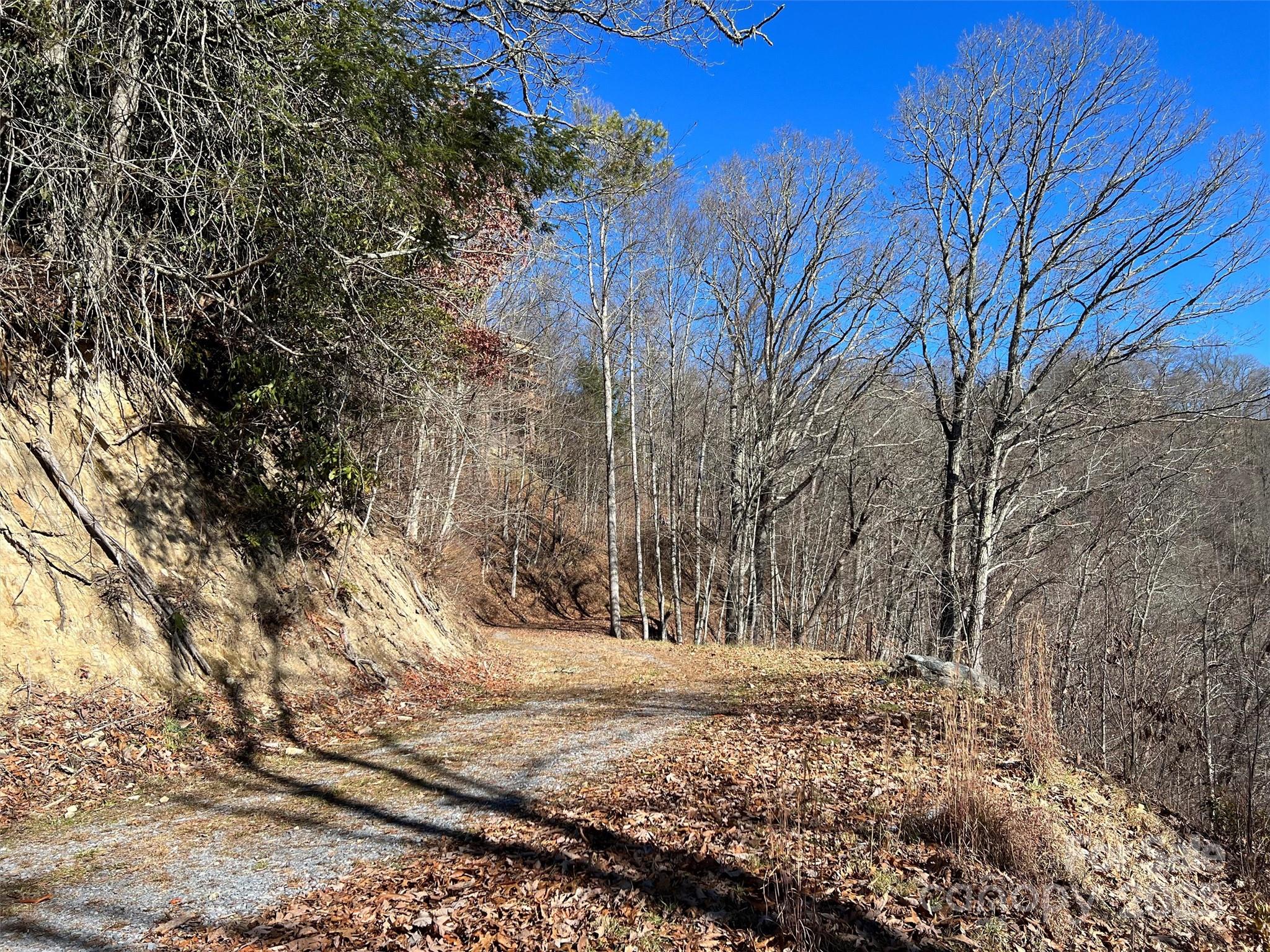 Lot at 00 Barn Cove Road, Clyde, photo 12 of 16