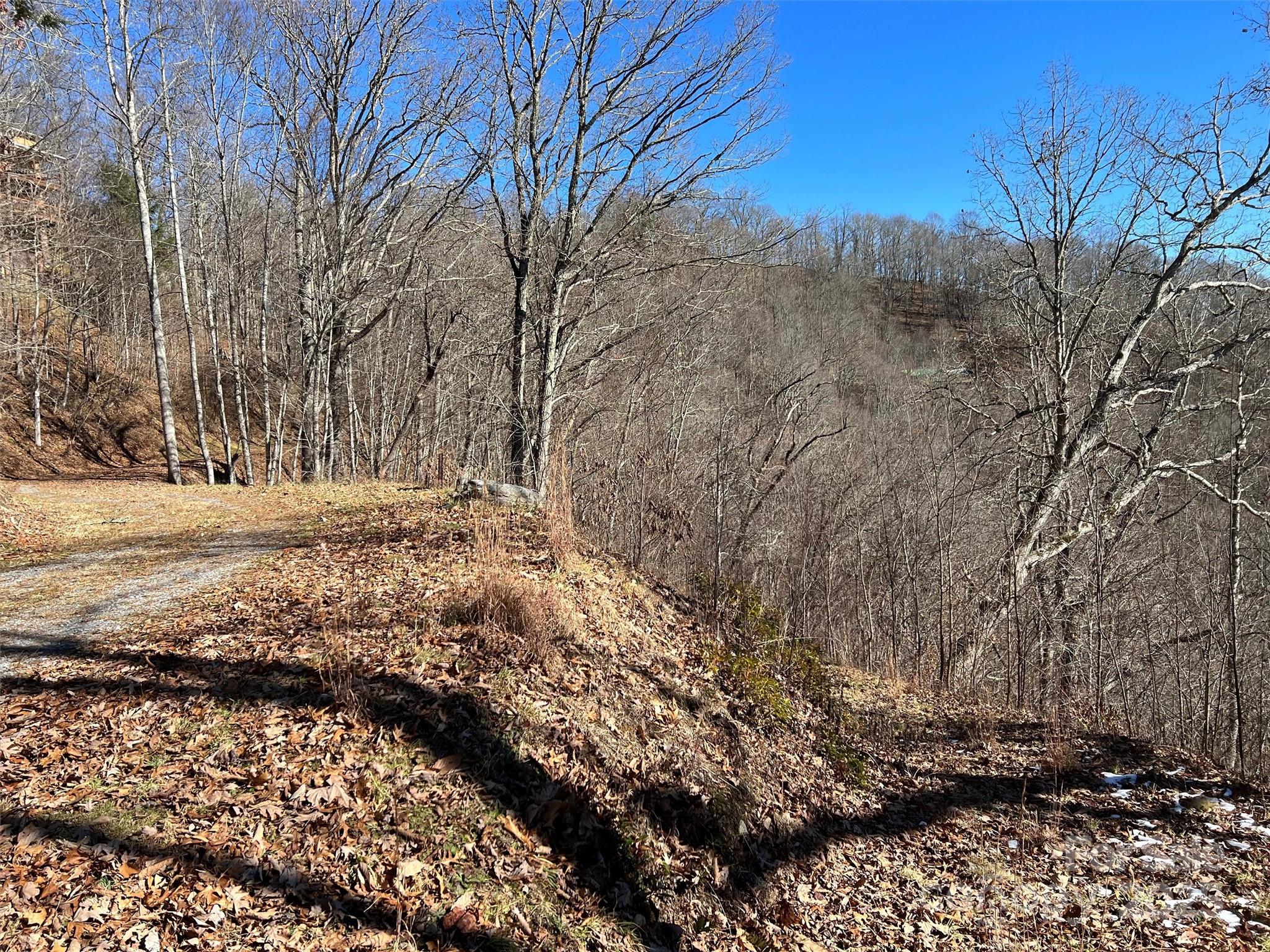 Lot at 00 Barn Cove Road, Clyde, photo 13 of 16