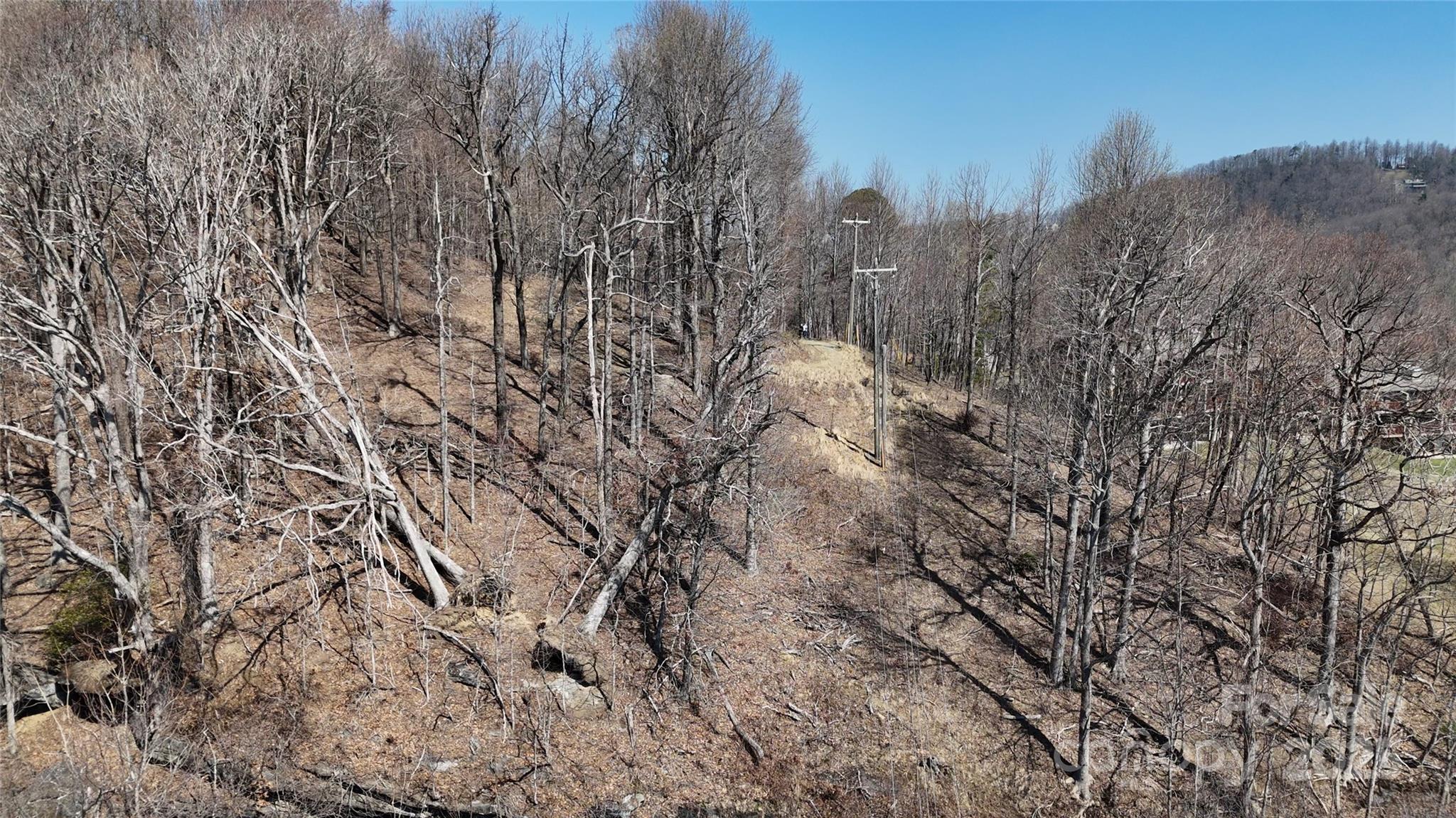 Lot at 1.1 Acre Blockaders Den Road, Columbus, photo 8 of 41