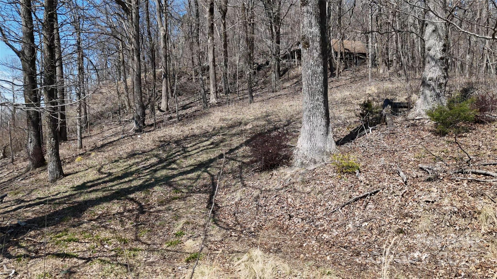 Lot at 1.1 Acre Blockaders Den Road, Columbus, photo 9 of 41