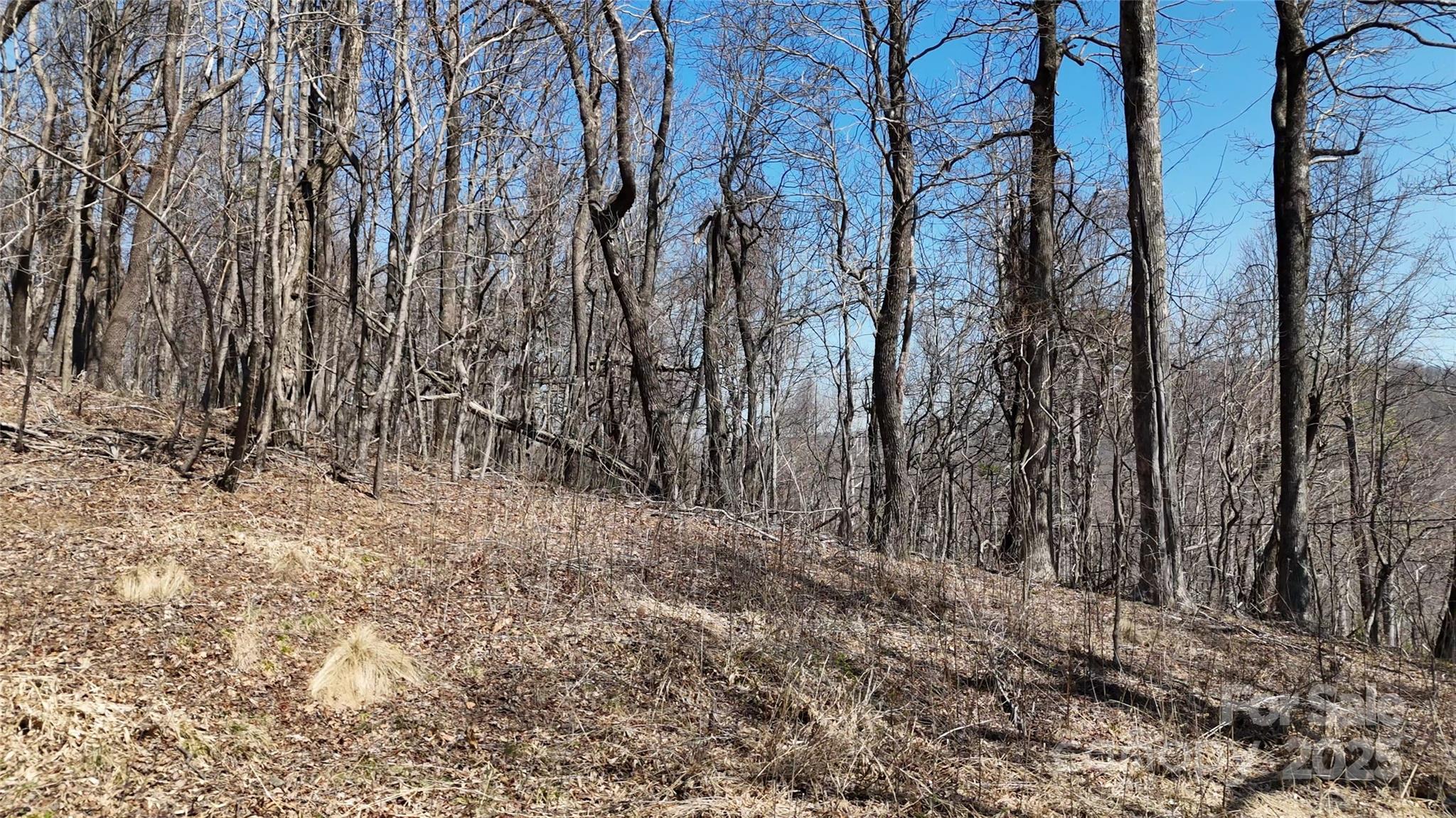 Lot at 1.1 Acre Blockaders Den Road, Columbus, photo 13 of 41