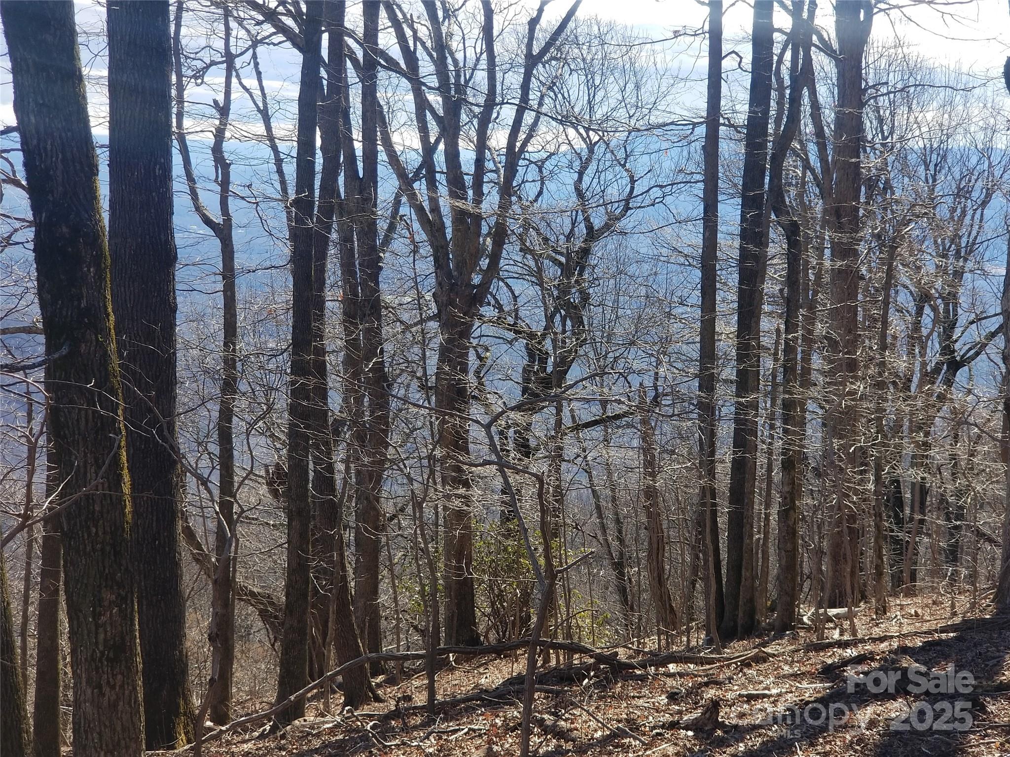 Lot at 1.1 Acre Blockaders Den Road, Columbus, photo 25 of 41