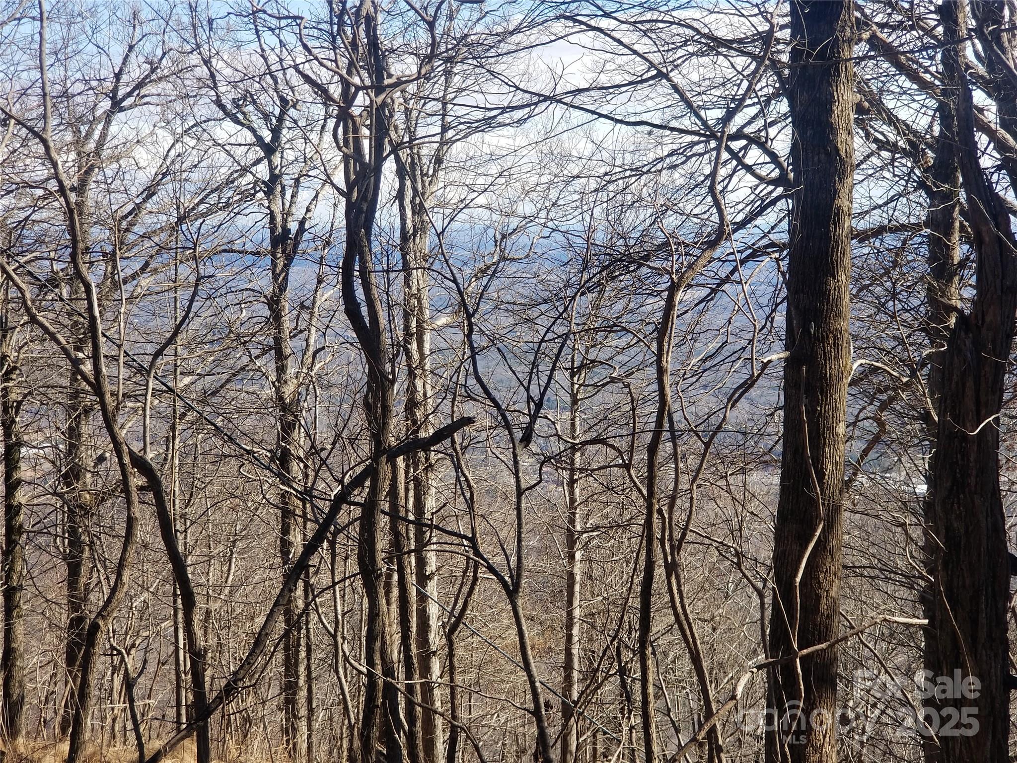 Lot at 1.1 Acre Blockaders Den Road, Columbus, photo 27 of 41