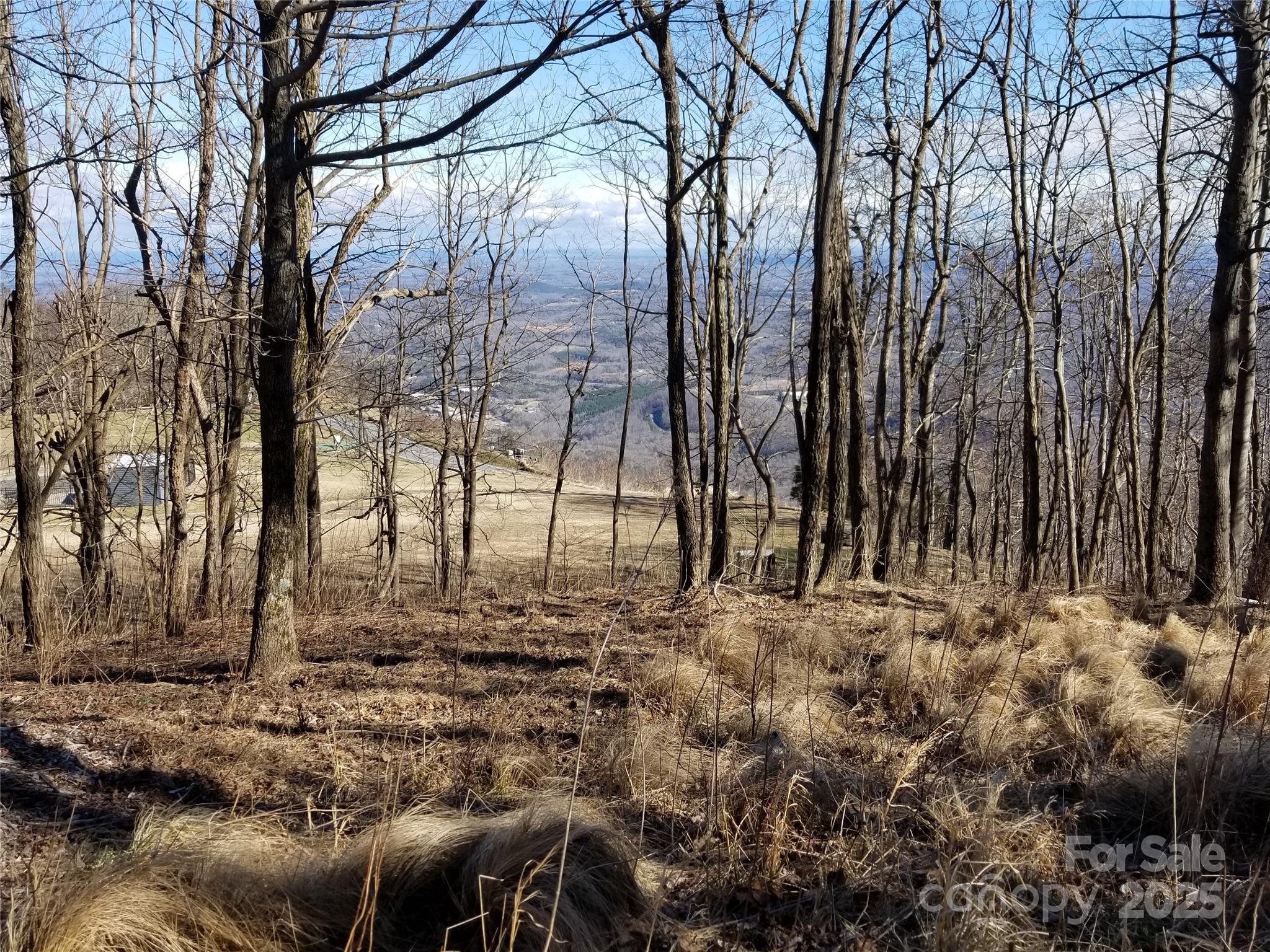 Lot at 1.1 Acre Blockaders Den Road, Columbus, photo 29 of 41
