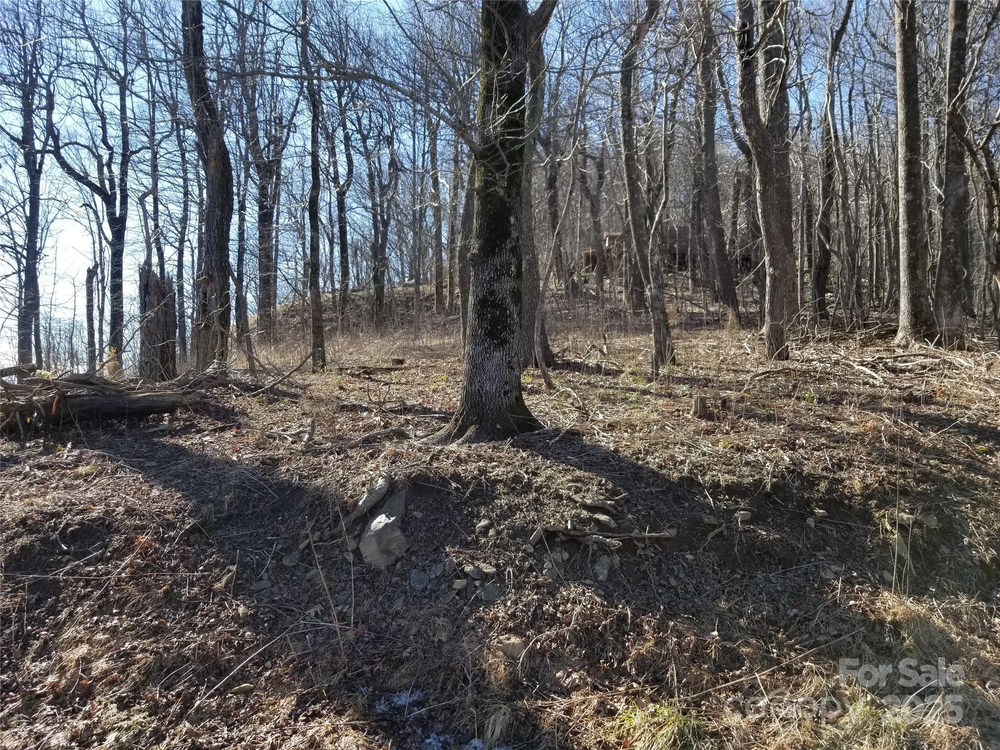 Lot at 1.1 Acre Blockaders Den Road, Columbus, photo 33 of 41