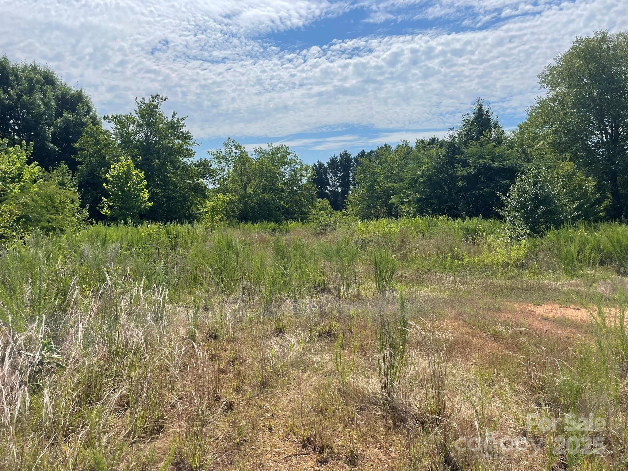 Unimproved Commercial at 309 Enola Road, Morganton, photo 13 of 15