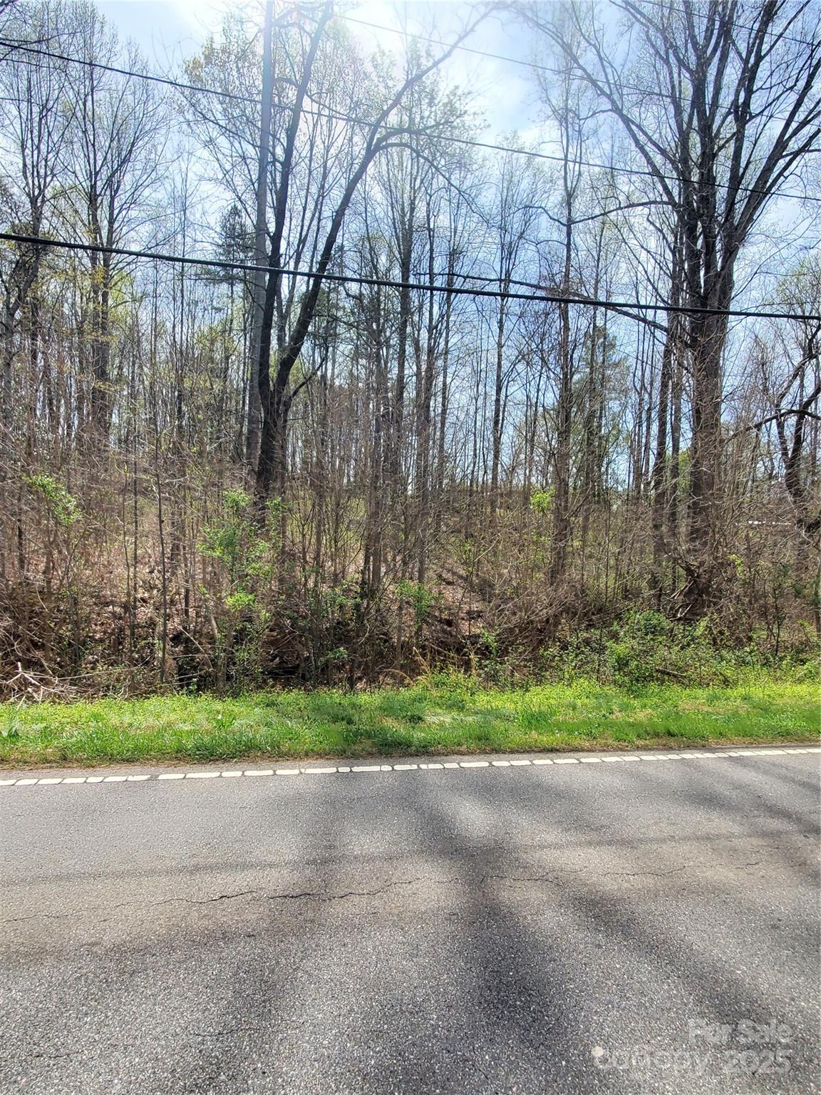 Unimproved Commercial at 2321 Newton Drive, Statesville, photo 3 of 14