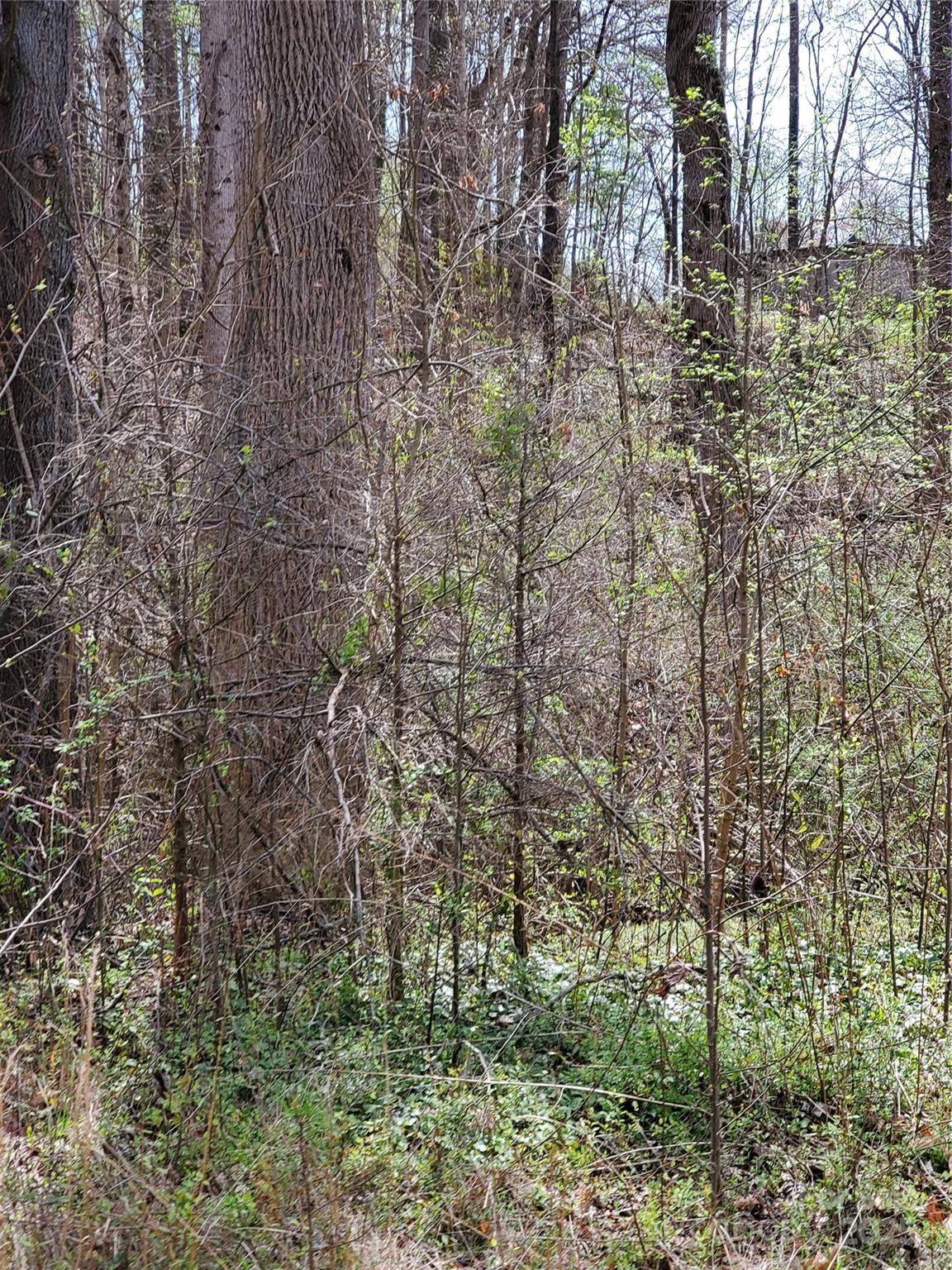 Unimproved Commercial at 2321 Newton Drive, Statesville, photo 11 of 14