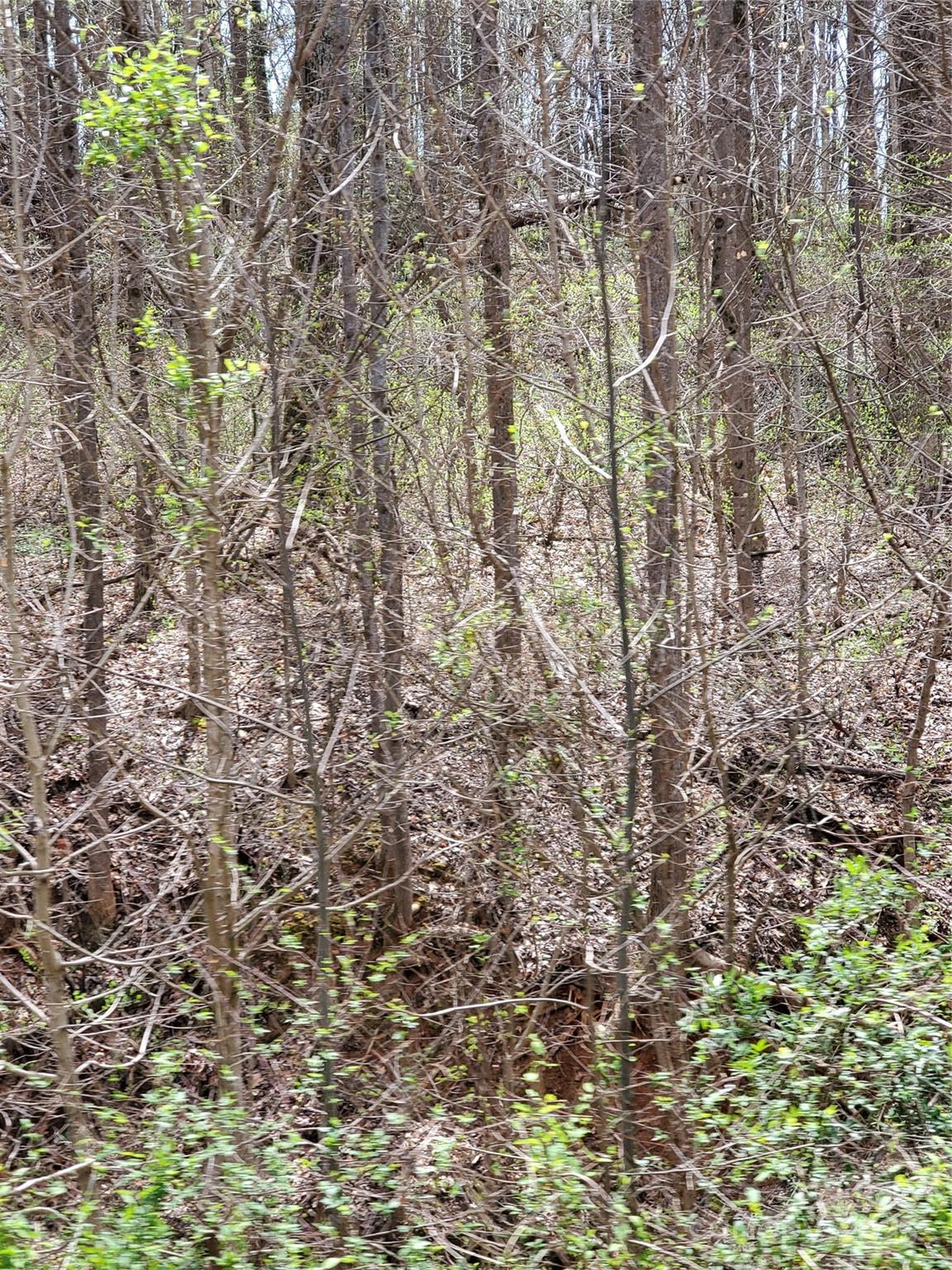 Unimproved Commercial at 2321 Newton Drive, Statesville, photo 14 of 14