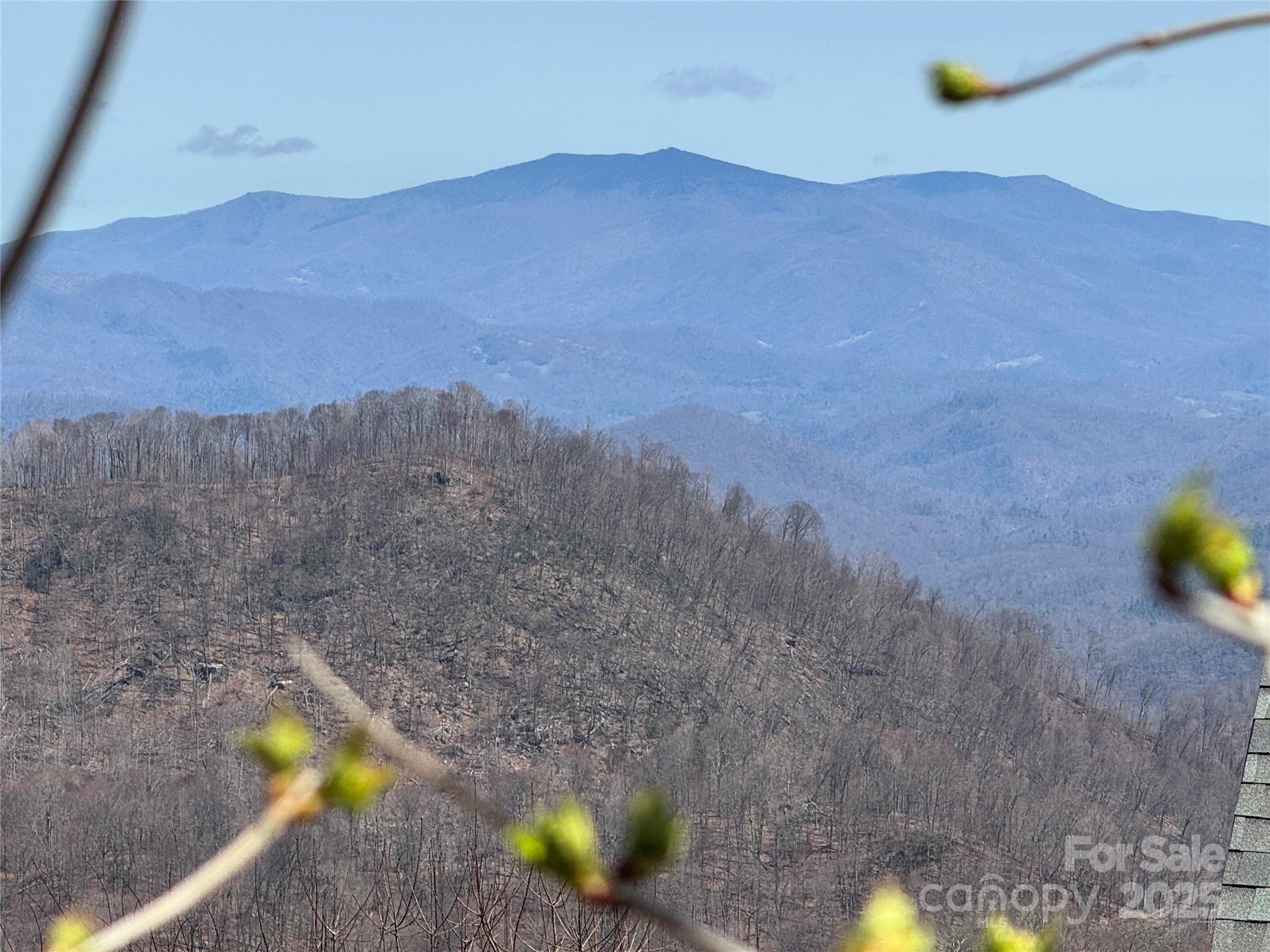 Potential View - 14 & 16 Overlook Drive, Mars Hill