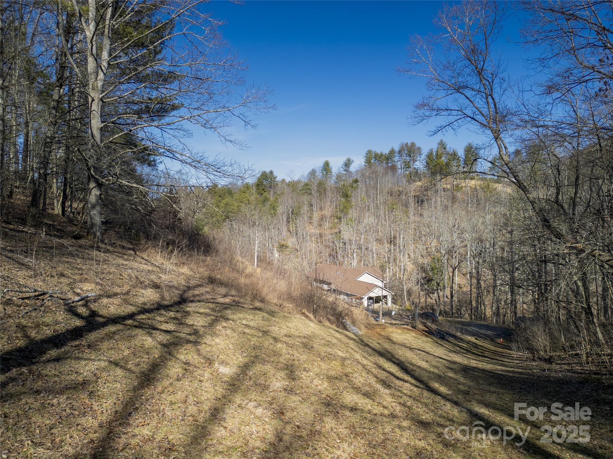 View from treeline before homesite - 103 Barn Road, Burnsville