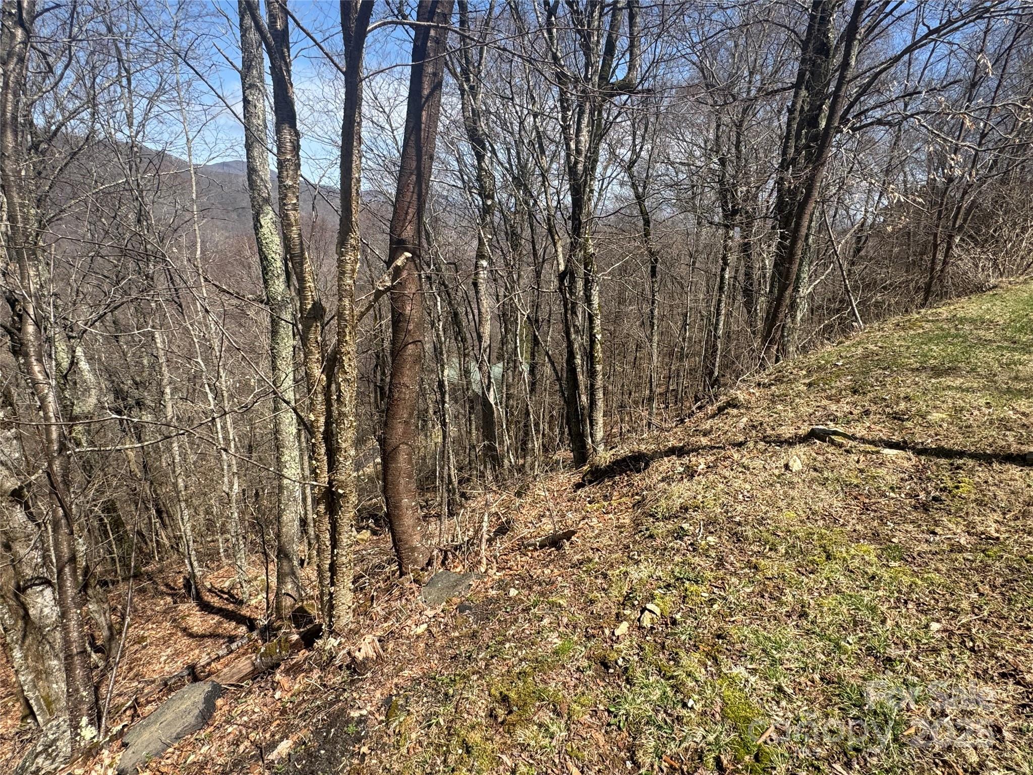 Big Bald View Potential - 53 & 55 Running Cedar Drive, Mars Hill