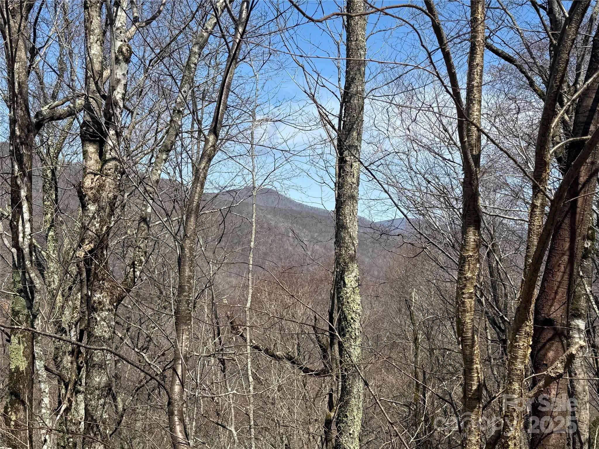 Big Bald View Potential - 53 & 55 Running Cedar Drive, Mars Hill