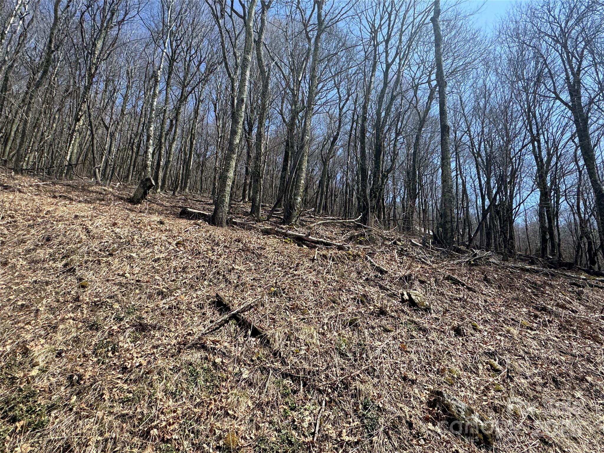Private Location W/ View Potential - 244 & 245 Grouse Thicket Lane, Mars Hill